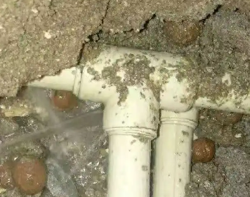 宜昌市测漏水多少钱