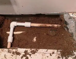 宜昌市测漏水哪家好