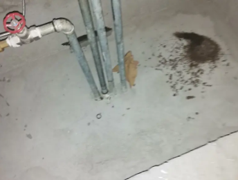 宜昌市卫生间测漏水价格明细