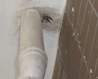 宜昌市漏水检测哪家好